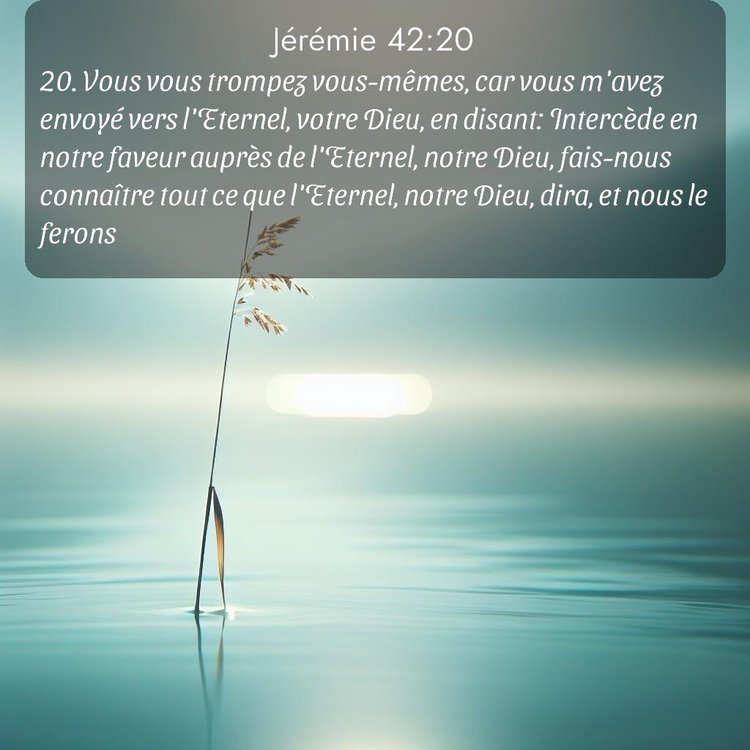 Segond Jérémie 42:20