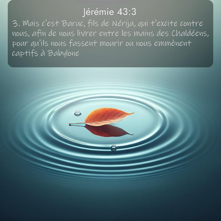 Segond Jérémie 43:3