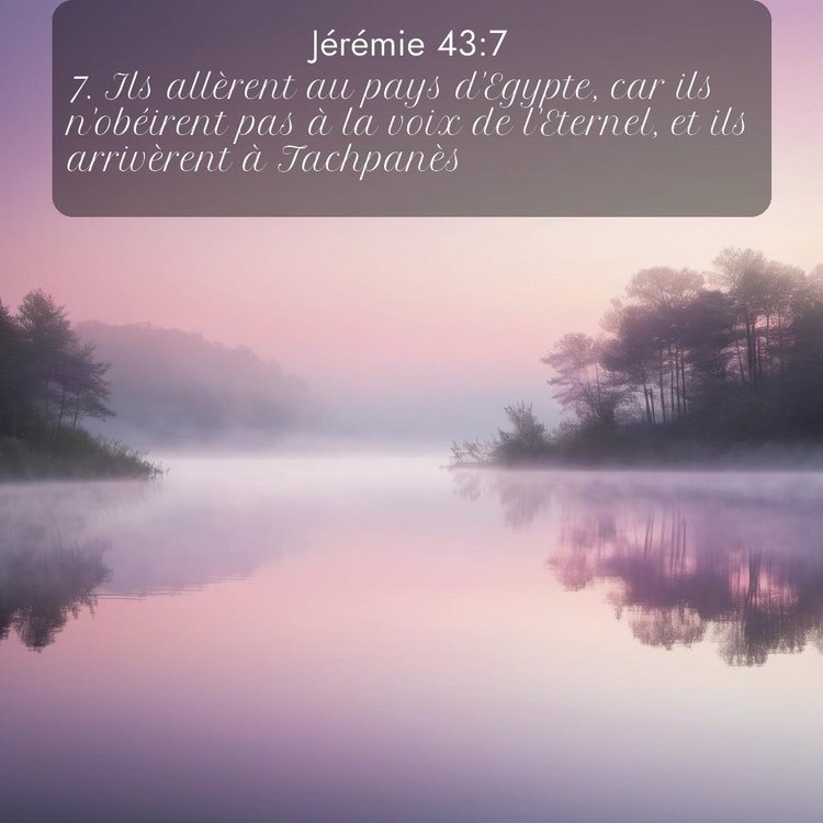 Segond Jérémie 43:7