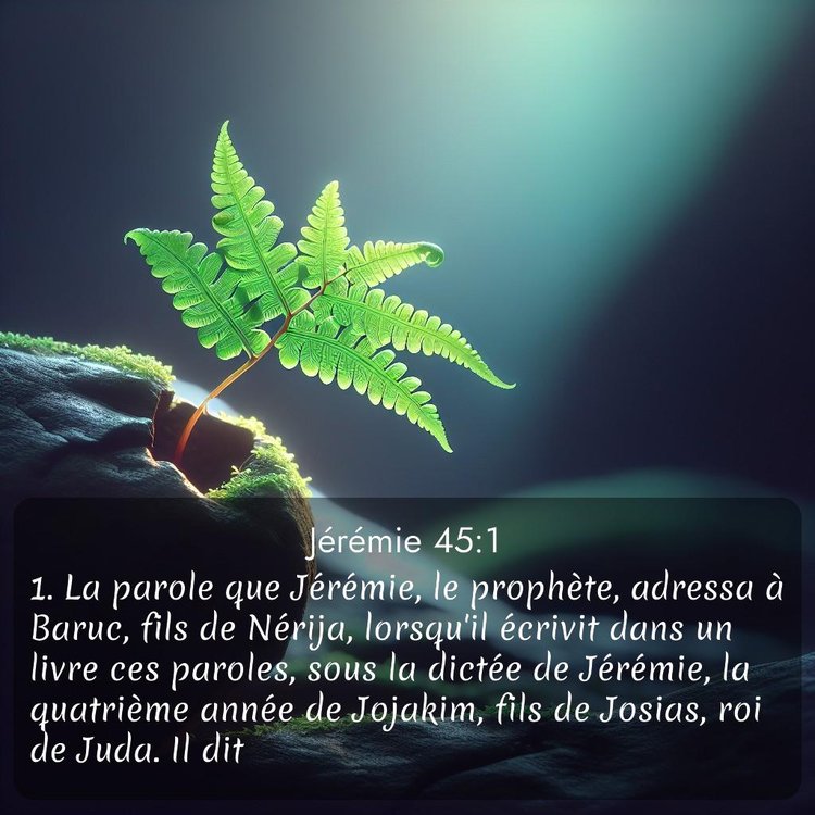 Segond Jérémie 45:1