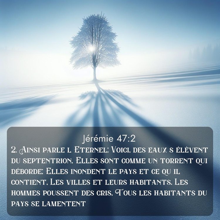 Segond Jérémie 47:2