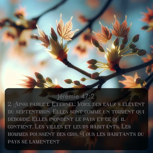 Segond Jérémie  ; image nature: image avec le verset biblique :Ainsi parle l&#039;Eternel: Voici, des eaux s&#039;élèvent du septentrion, Elles sont comme un torrent qui déborde; Elles inondent le pays et ce qu&#039;il contient, Les villes et leurs habitants. Les hommes poussent des cris, Tous les habitants du pays se lamentent, ;  ; 47:2