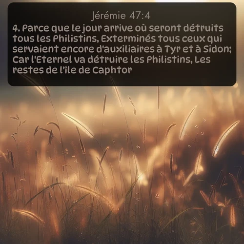 Segond Jérémie  ; image nature: image avec le verset biblique :Parce que le jour arrive où seront détruits tous les Philistins, Exterminés tous ceux qui servaient encore d&#039;auxiliaires à Tyr et à Sidon; Car l&#039;Eternel va détruire les Philistins, Les restes de l&#039;île de Caphtor. ;  ; 47:4