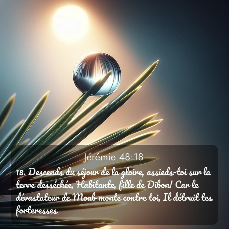 image nature avec verset biblique de la Bible