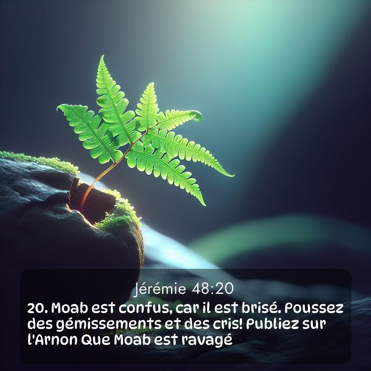 image nature avec verset biblique de la Bible