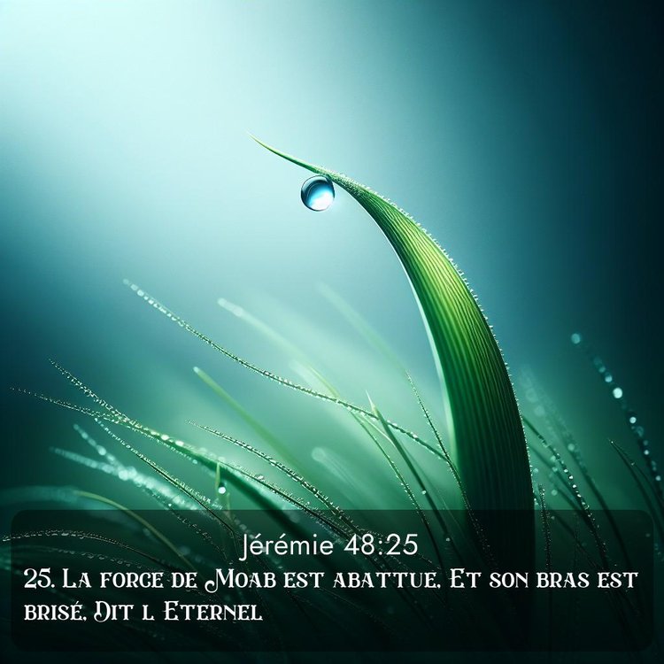 Segond Jérémie 48:25