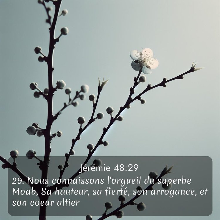 Bible Segond Jérémie 48:29