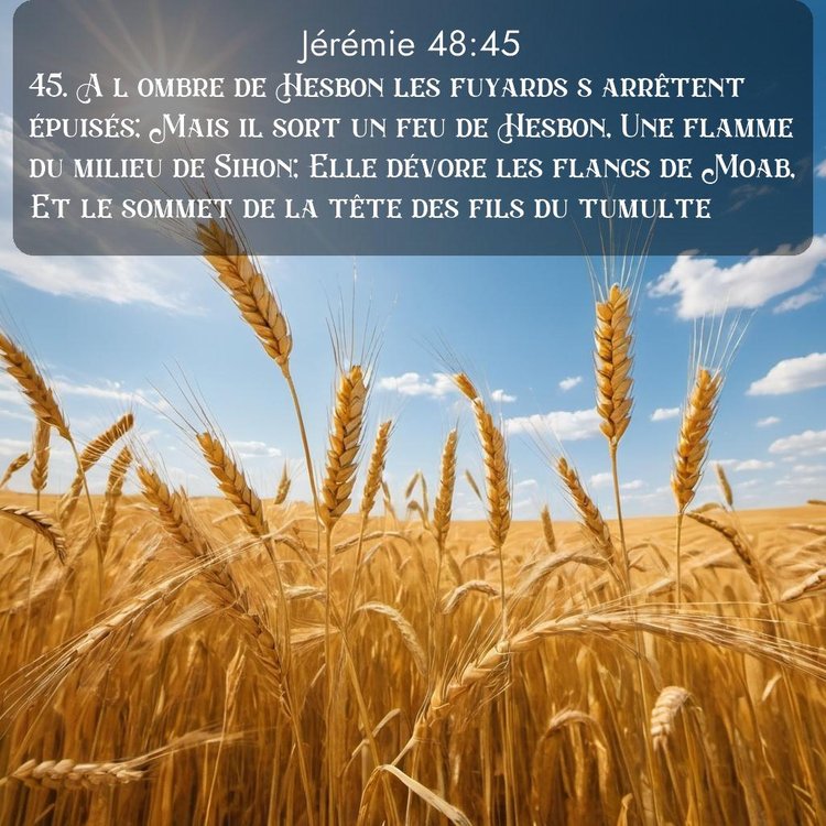 Segond Jérémie 48:45