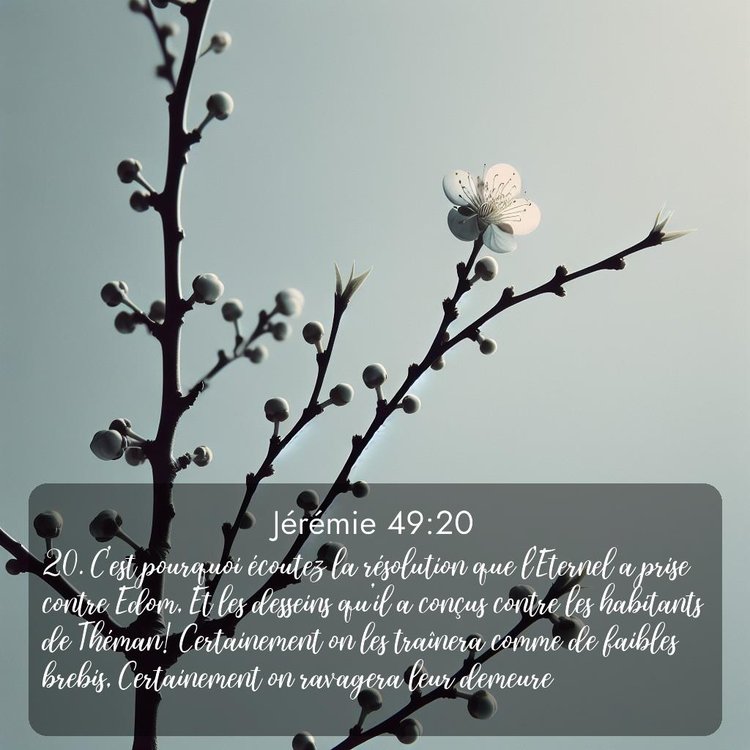 image nature avec verset biblique de la Bible