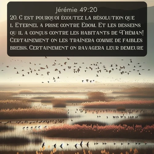 Segond Jérémie  ; image nature: image avec le verset biblique :C&#039;est pourquoi écoutez la résolution que l&#039;Eternel a prise contre Edom, Et les desseins qu&#039;il a conçus contre les habitants de Théman! Certainement on les traînera comme de faibles brebis, Certainement on ravagera leur demeure. ;  ; 49:20