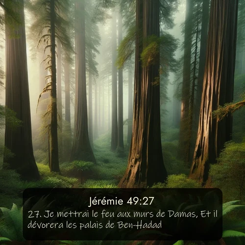 Segond Jérémie  ; image nature: image avec le verset biblique :Je mettrai le feu aux murs de Damas, Et il dévorera les palais de Ben-Hadad. ;  ; 49:27