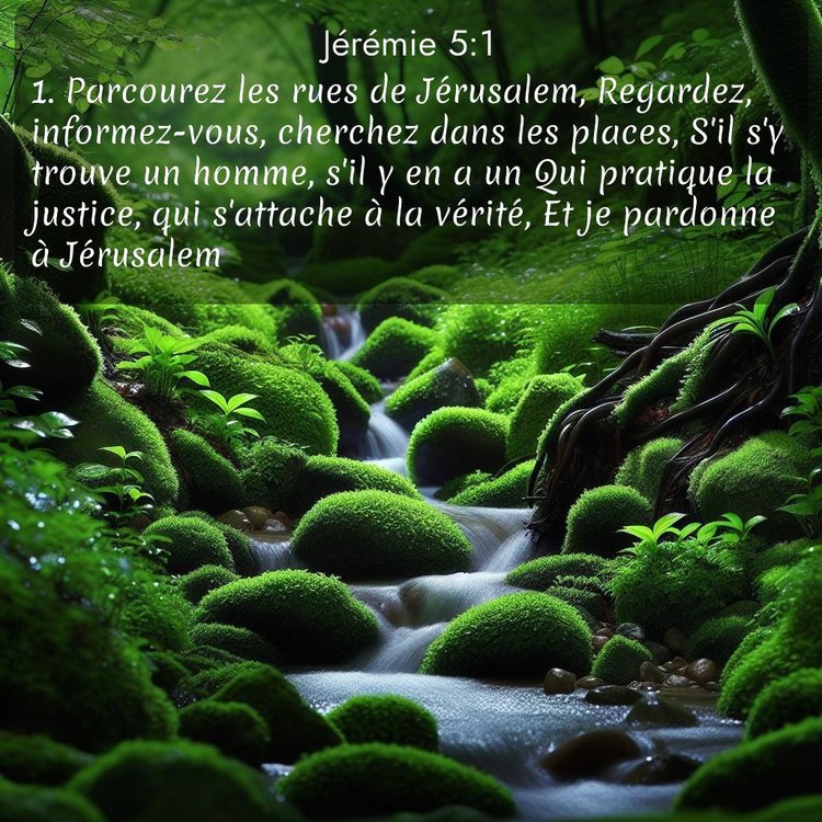 Segond Jérémie 5:1