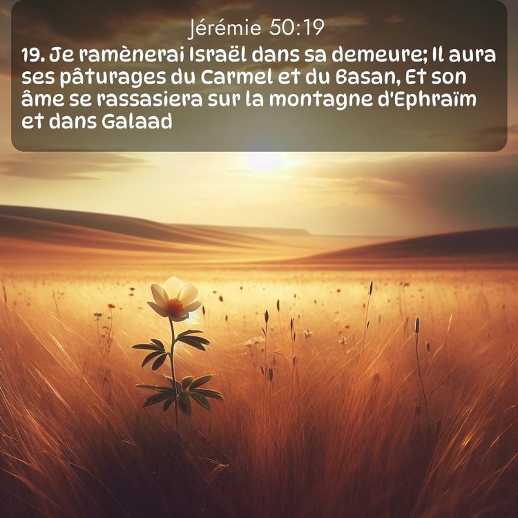 image nature avec verset biblique de la Bible