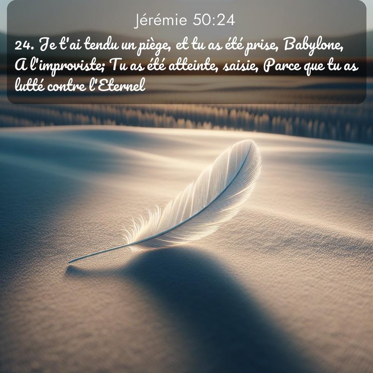 Segond Jérémie 50:24