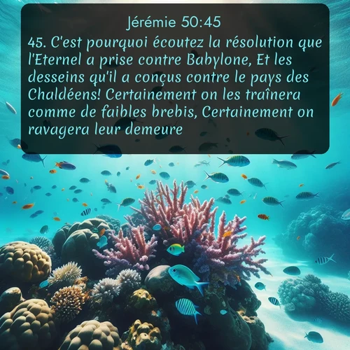 Segond Jérémie  ; image nature: image avec le verset biblique :C&#039;est pourquoi écoutez la résolution que l&#039;Eternel a prise contre Babylone, Et les desseins qu&#039;il a conçus contre le pays des Chaldéens! Certainement on les traînera comme de faibles brebis, Certainement on ravagera leur demeure. ;  ; 50:45