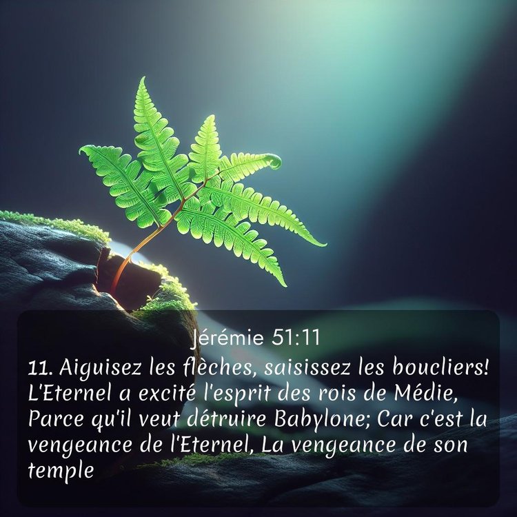 Segond Jérémie 51:11