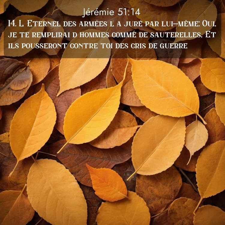 Segond Jérémie 51:14