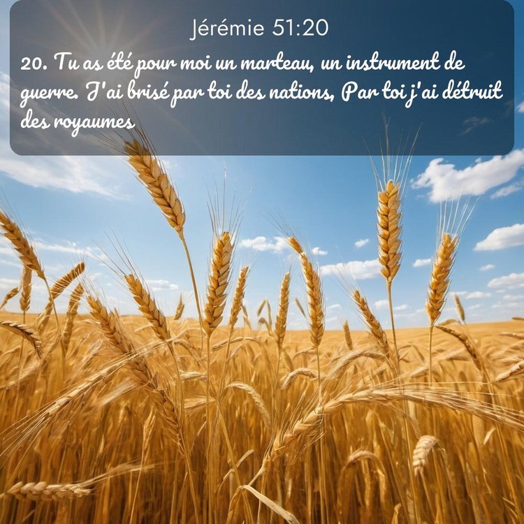 Segond Jérémie 51:20