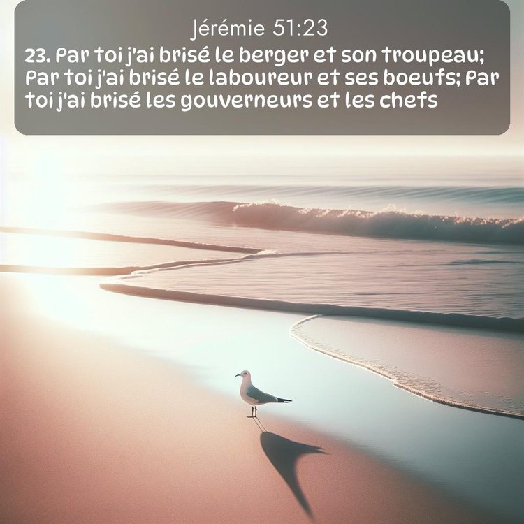 Segond Jérémie 51:23