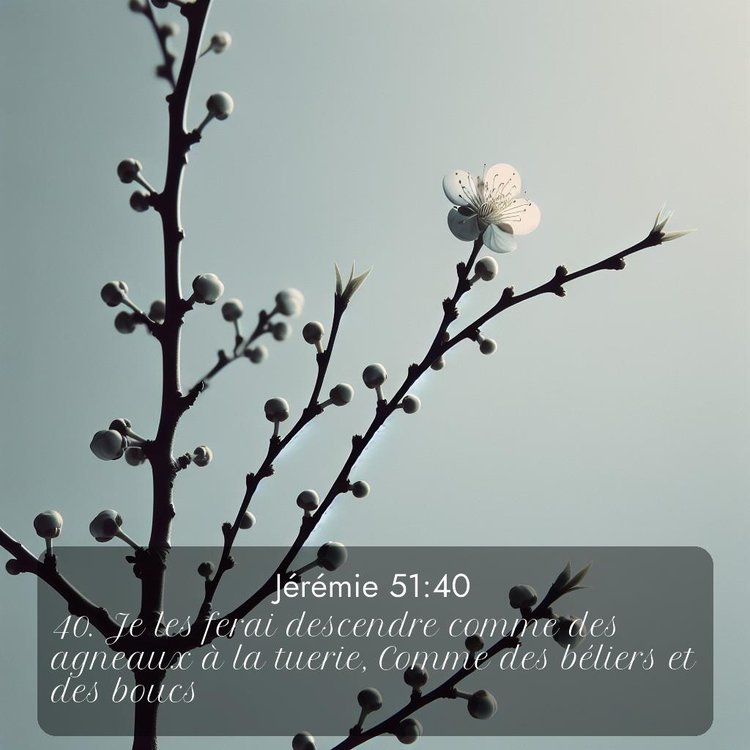 Segond Jérémie 51:40