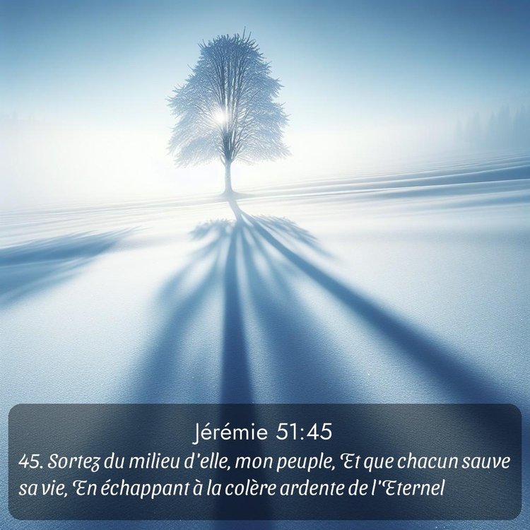 Segond Jérémie 51:45