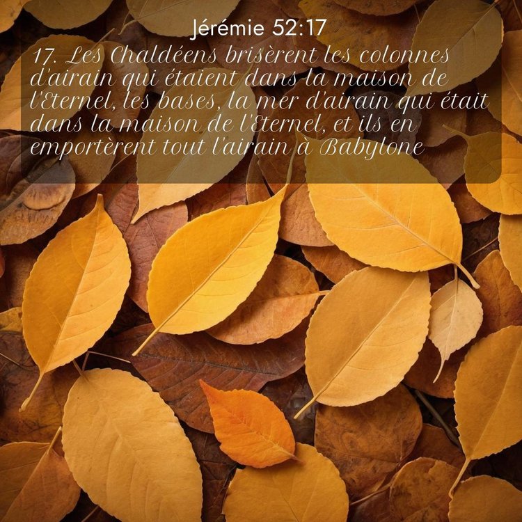 Segond Jérémie 52:17