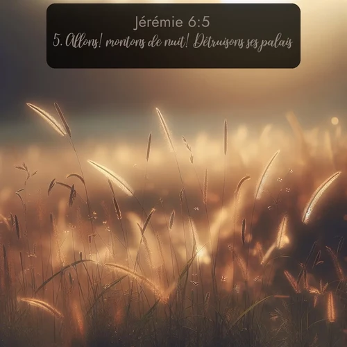 Segond Jérémie  ; image nature: image avec le verset biblique :Allons! montons de nuit! Détruisons ses palais! - ;  ; 6:5