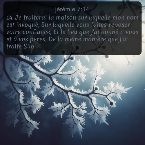 Segond Jérémie  ; image nature: image avec le verset biblique :Je traiterai la maison sur laquelle mon nom est invoqué, Sur laquelle vous faites reposer votre confiance, Et le lieu que j&#039;ai donné à vous et à vos pères, De la même manière que j&#039;ai traité Silo; ;  ; 7:14