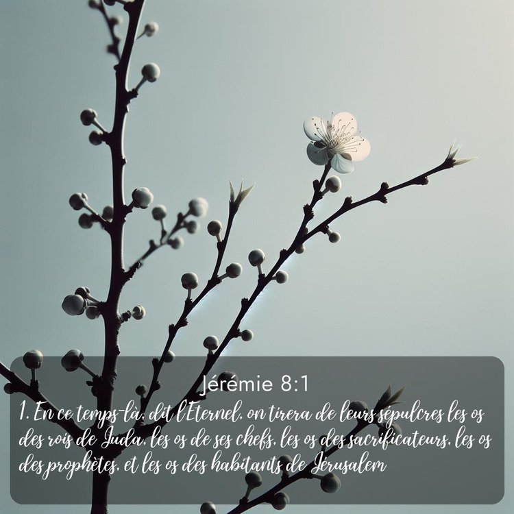 image nature avec verset biblique de la Bible