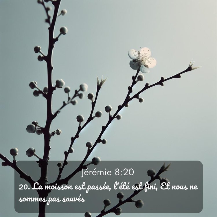 image nature avec verset biblique de la Bible