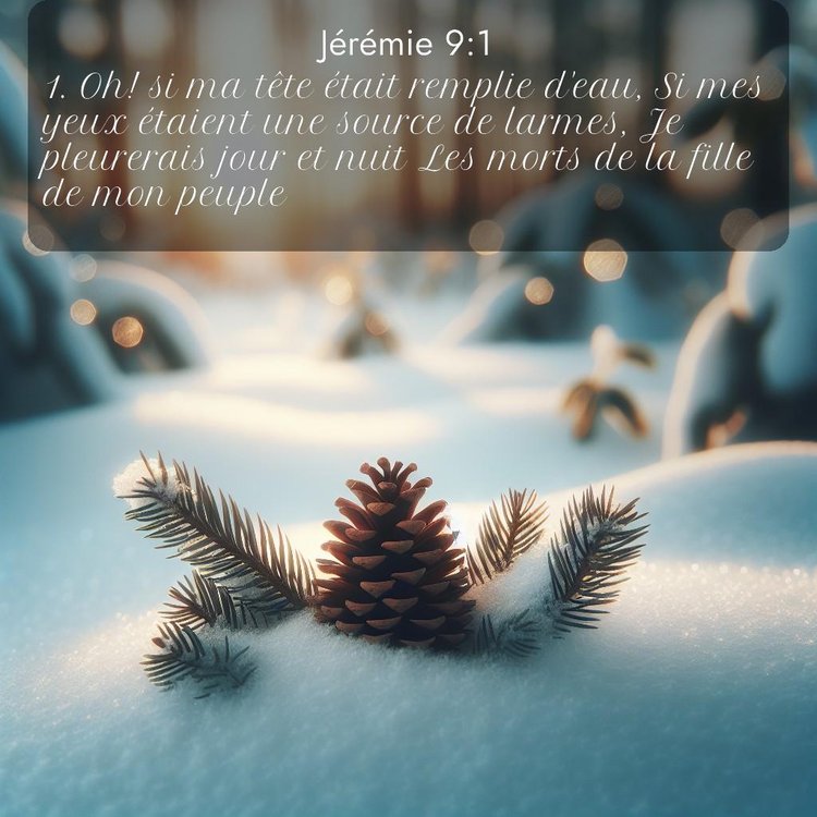 Segond Jérémie 9:1