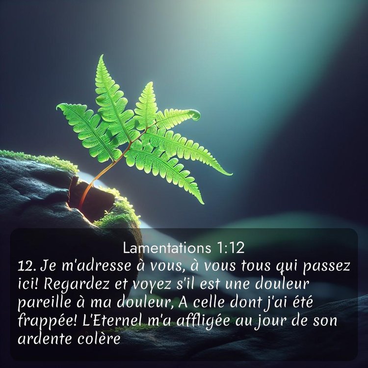 Segond Lamentations 1:12