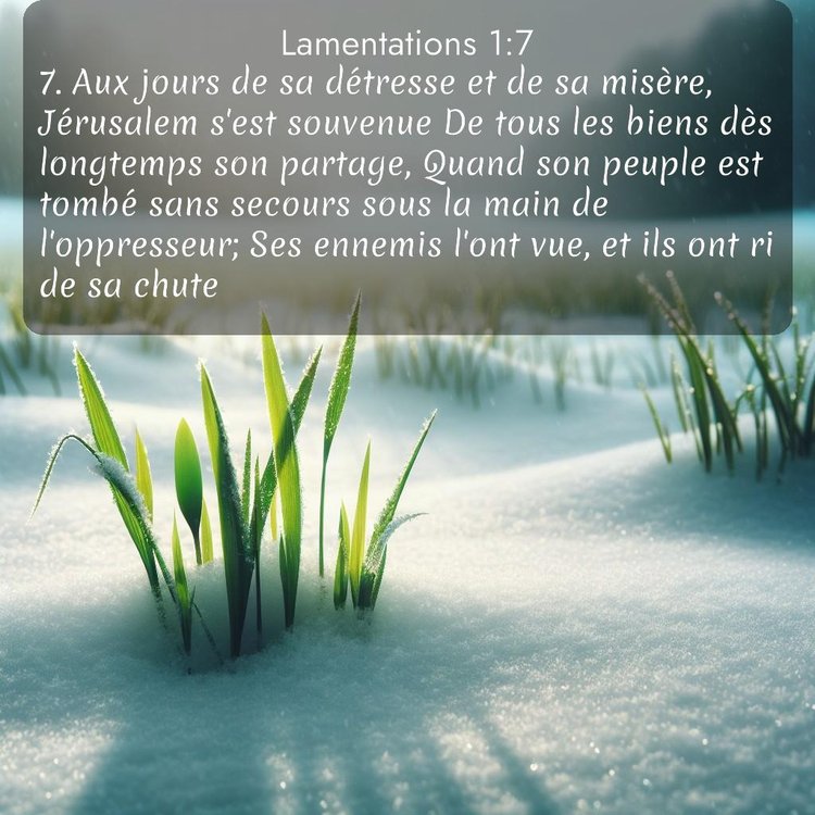 Segond Lamentations 1:7