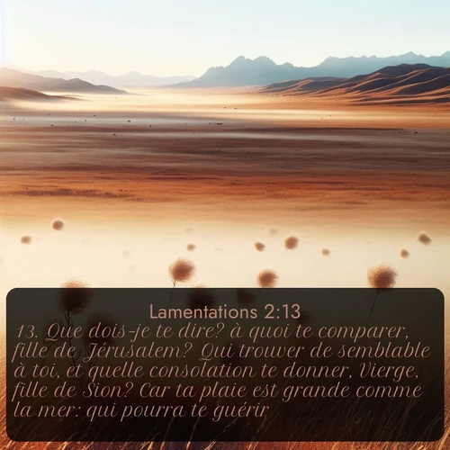 Segond Lamentations  ; image nature: image avec le verset biblique :Que dois-je te dire? à quoi te comparer, fille de Jérusalem? Qui trouver de semblable à toi, et quelle consolation te donner, Vierge, fille de Sion? Car ta plaie est grande comme la mer: qui pourra te guérir? ;  ; 2:13