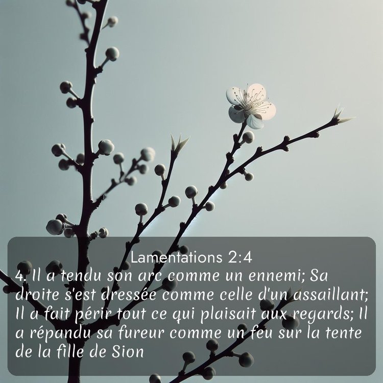 Segond Lamentations 2:4