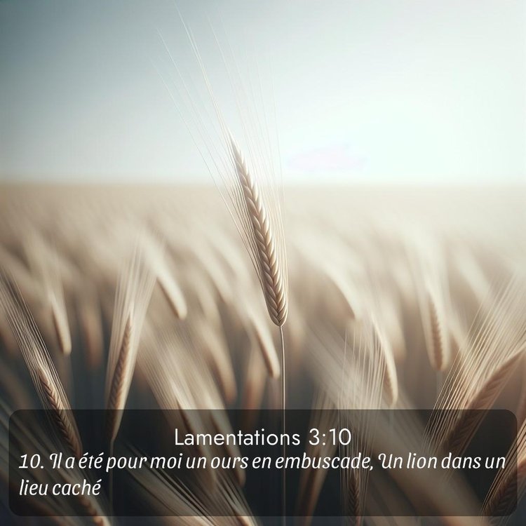 Segond Lamentations 3:10