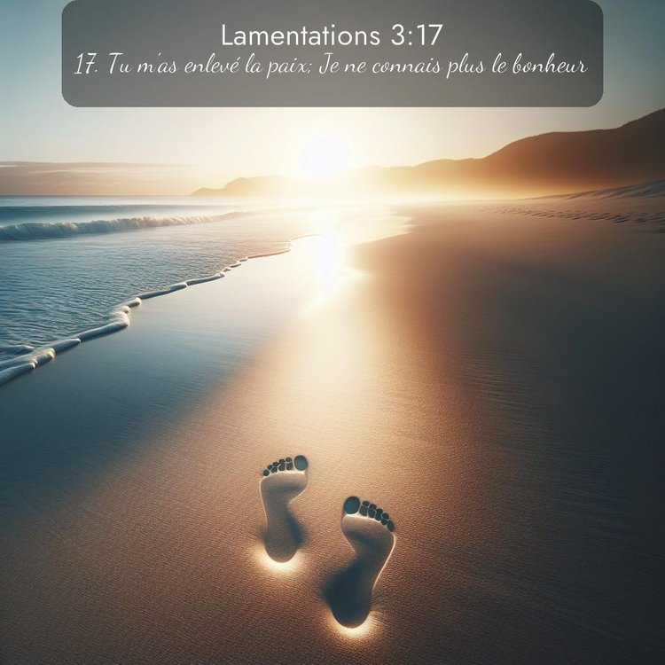 Segond Lamentations 3:17