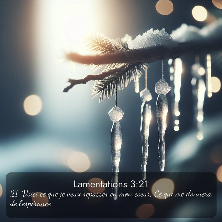 Segond Lamentations 3:21