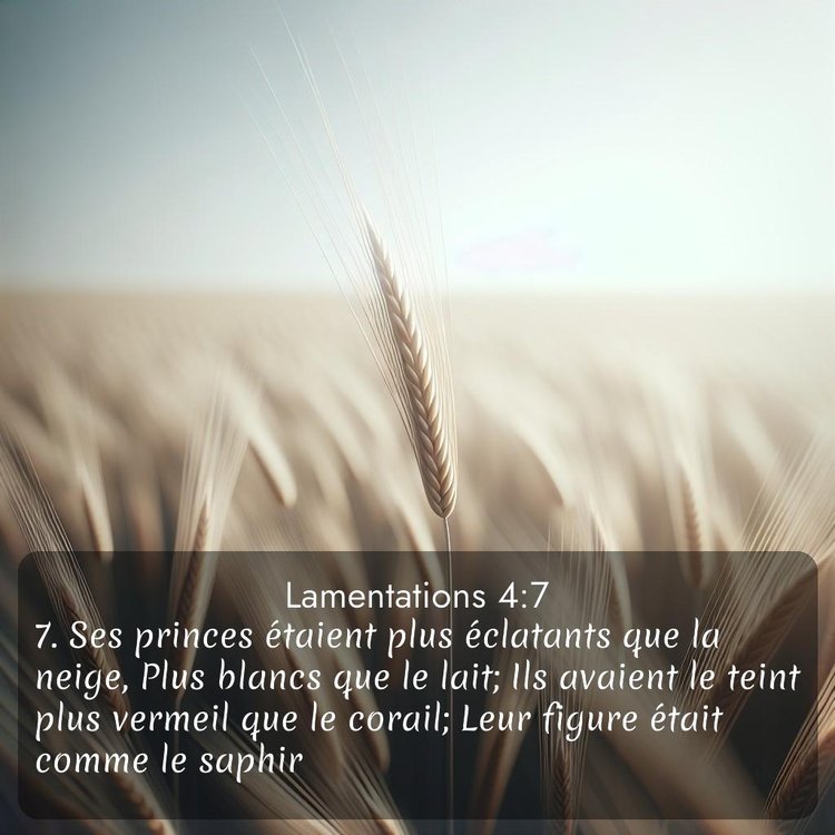 Segond Lamentations 4:7