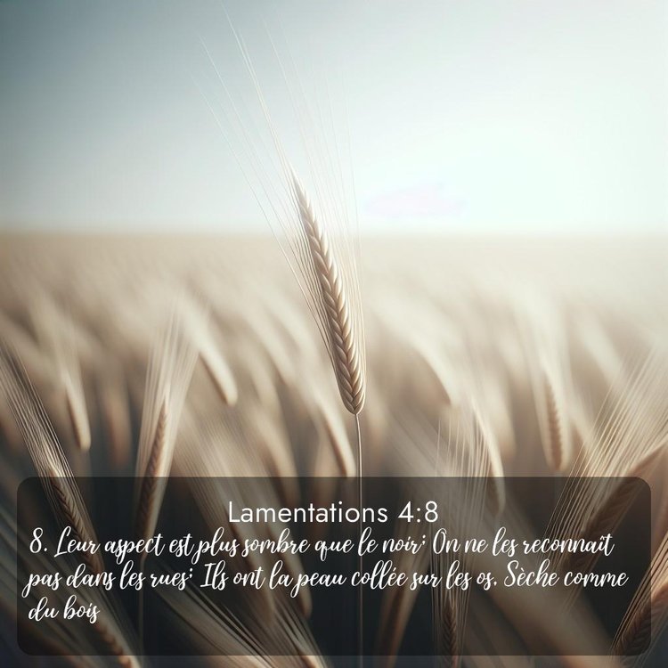 Segond Lamentations 4:8