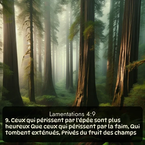 Segond Lamentations  ; image nature: image avec le verset biblique :Ceux qui périssent par l&#039;épée sont plus heureux Que ceux qui périssent par la faim, Qui tombent exténués, Privés du fruit des champs. ;  ; 4:9