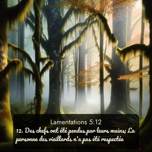 Segond Lamentations  ; image nature: image avec le verset biblique :Des chefs ont été pendus par leurs mains; La personne des vieillards n&#039;a pas été respectée. ;  ; 5:12