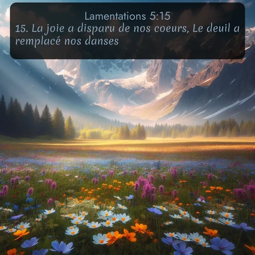 Segond Lamentations  ; image nature: image avec le verset biblique :La joie a disparu de nos coeurs, Le deuil a remplacé nos danses. ;  ; 5:15