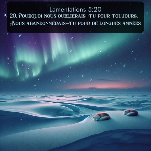 Segond Lamentations  ; image nature: image avec le verset biblique :Pourquoi nous oublierais-tu pour toujours, Nous abandonnerais-tu pour de longues années? ;  ; 5:20