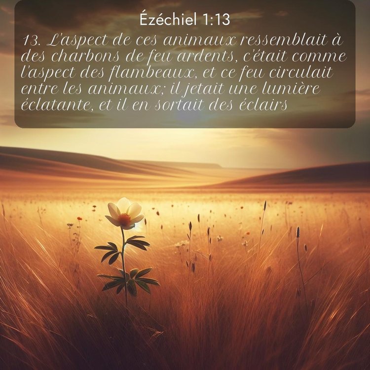 image nature avec verset biblique de la Bible