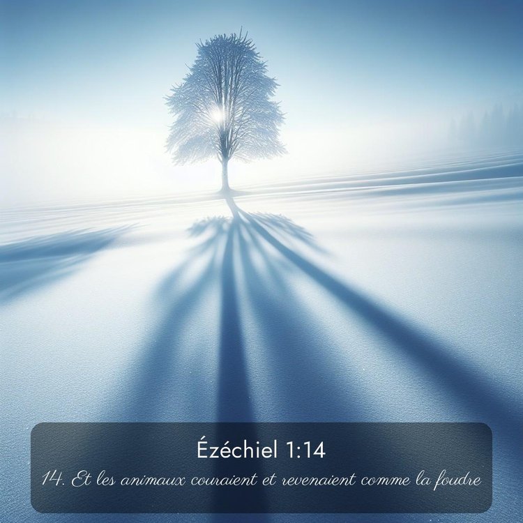 Segond Ézéchiel 1:14