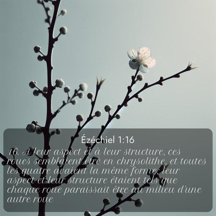 image nature avec verset biblique de la Bible