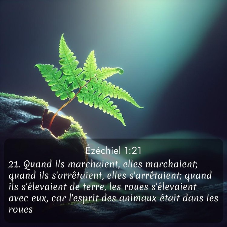 image nature avec verset biblique de la Bible