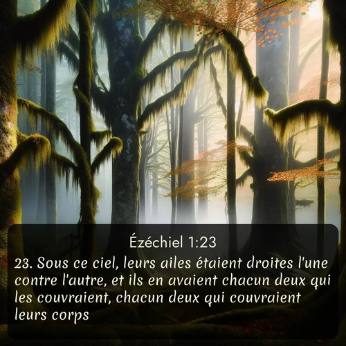 Segond Ézéchiel  ; image nature: image avec le verset biblique :Sous ce ciel, leurs ailes étaient droites l&#039;une contre l&#039;autre, et ils en avaient chacun deux qui les couvraient, chacun deux qui couvraient leurs corps. ;  ; 1:23