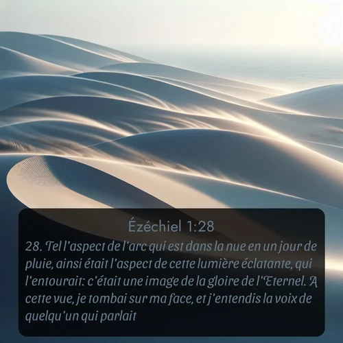 Segond Ézéchiel  ; image nature: image avec le verset biblique :Tel l&#039;aspect de l&#039;arc qui est dans la nue en un jour de pluie, ainsi était l&#039;aspect de cette lumière éclatante, qui l&#039;entourait: c&#039;était une image de la gloire de l&#039;Eternel. A cette vue, je tombai sur ma face, et j&#039;entendis la voix de quelqu&#039;un qui parlait. ;  ; 1:28